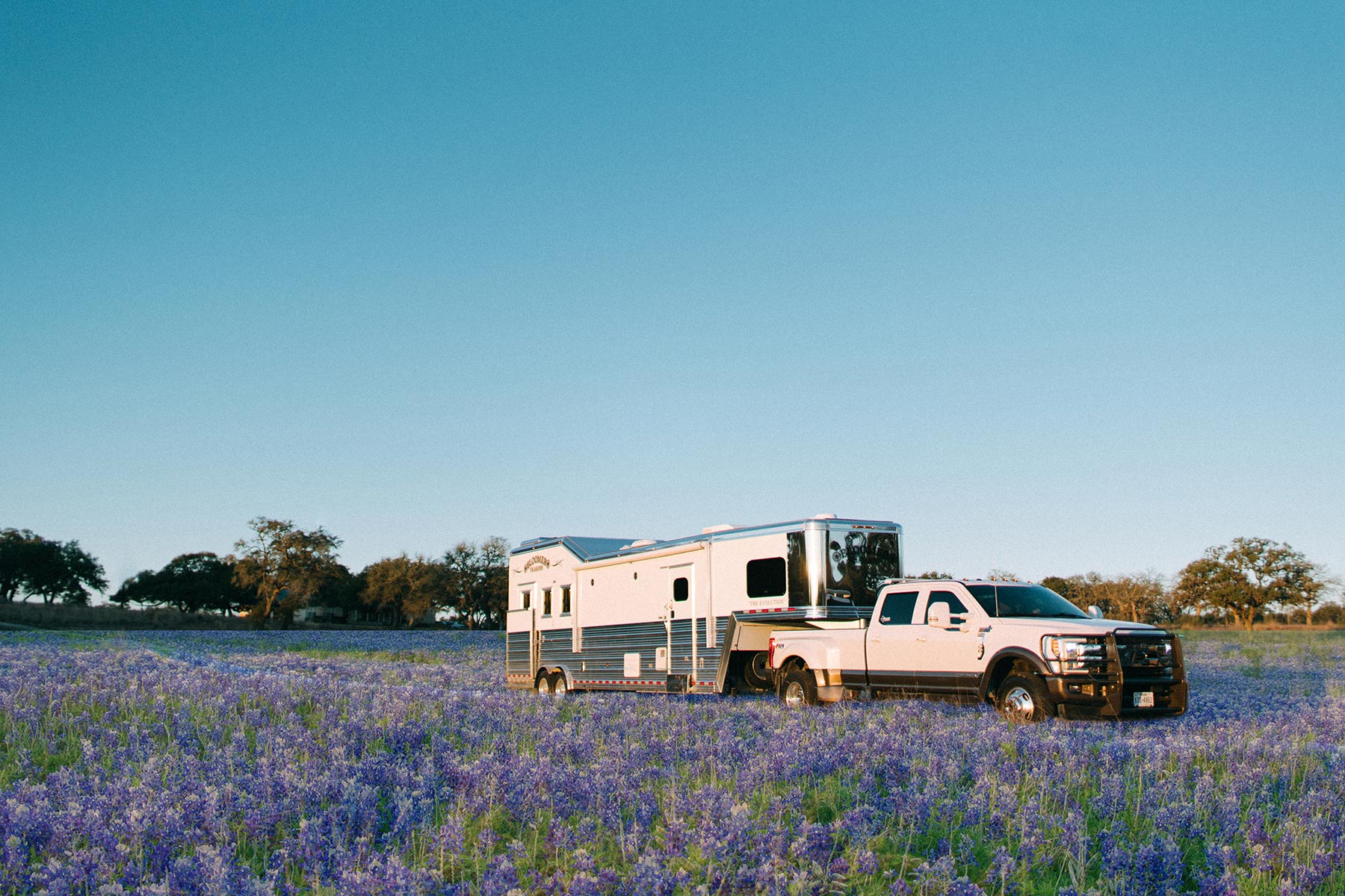 Trailer in Bluebonnets